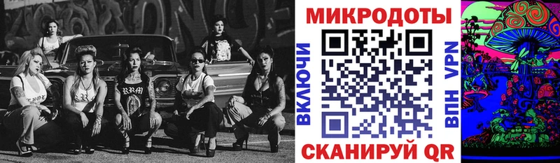 Псилоцибиновые грибы Psilocybe Шатура